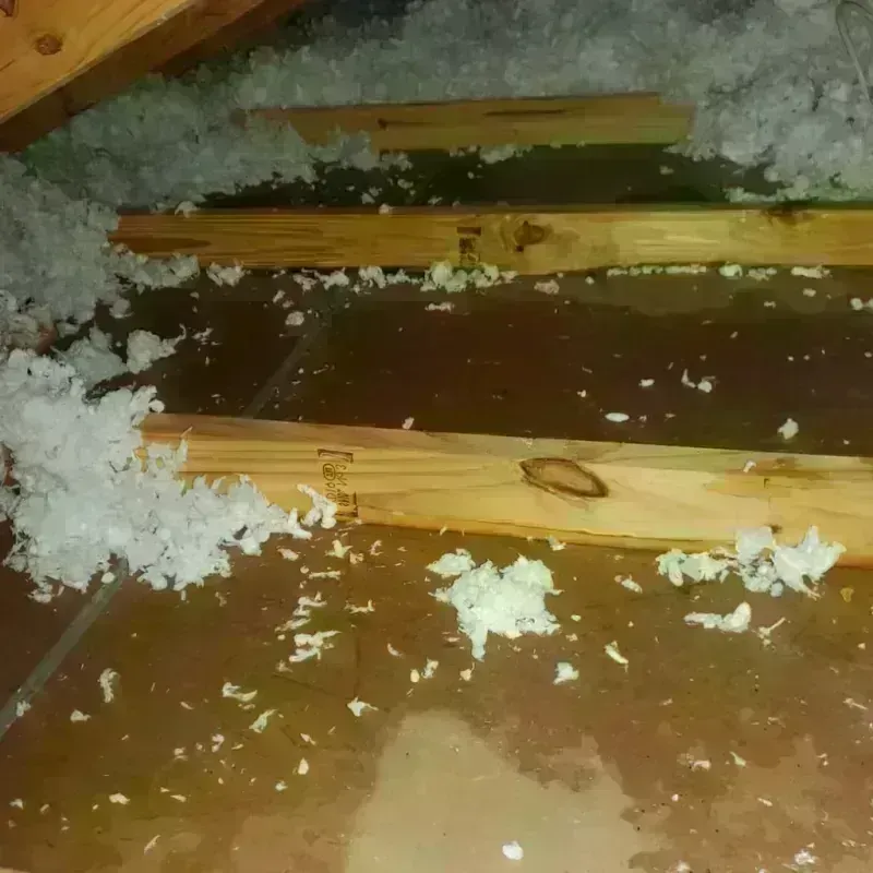 Attic Water Damage in Bainbridge, NY